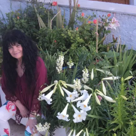 Flowers' Apartment Naxos City