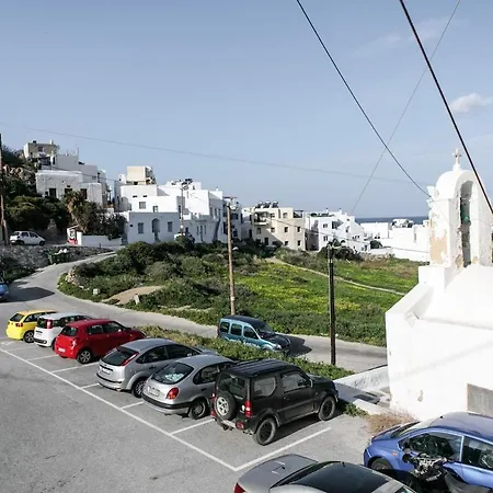 Flowers' * Naxos City
